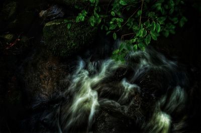 View of waterfall in forest