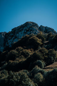 nature