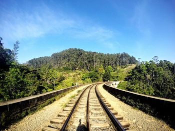 Railroad tracks amidst trees in forest against sky