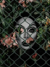 fence