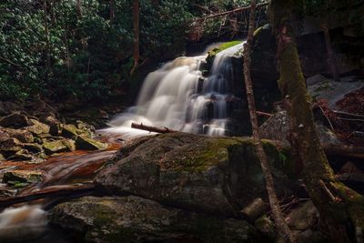 Waterfall in forest