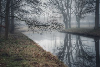 Bare trees by lake in forest against sky