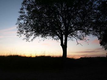 silhouette