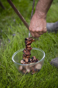 Low section of man holding plant