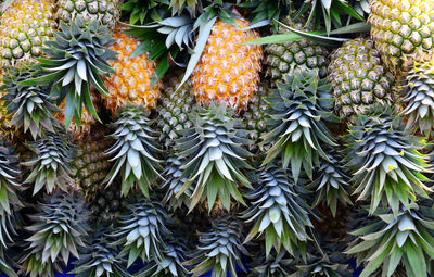  full frame shot of pineapple stacked texture background