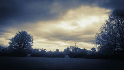 Bare trees against cloudy sky