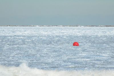 Red floating on sea against sky