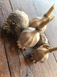 Close-up of dried plant on wood