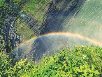 Scenic view of rainbow over trees