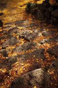 High angle view of rocks during rainy season