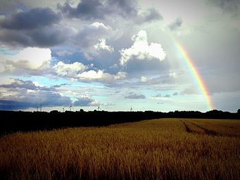 Scenic view of agricultural field against rainbow in sky