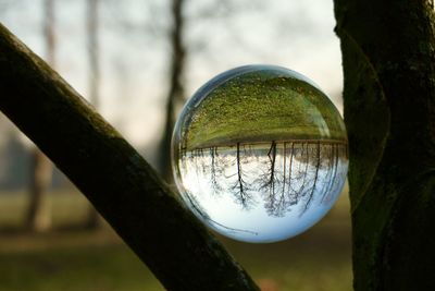 Close-up of crystal ball