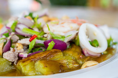 Close-up of food served in plate