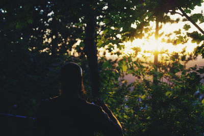 Rear view of man on tree