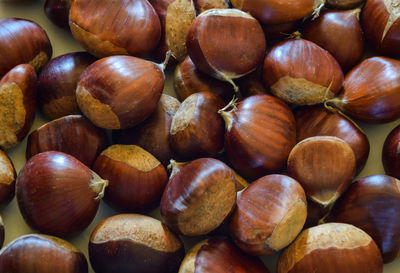 Handful of chestnut. typical autumn fruit