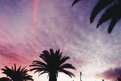 Low angle view of silhouette palm trees against sky during sunset