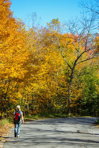 Woman walking on road during autumn