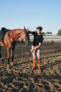 Male jockey in boots getting ready to ride a chestnut horse on sand arena on ranch in summer