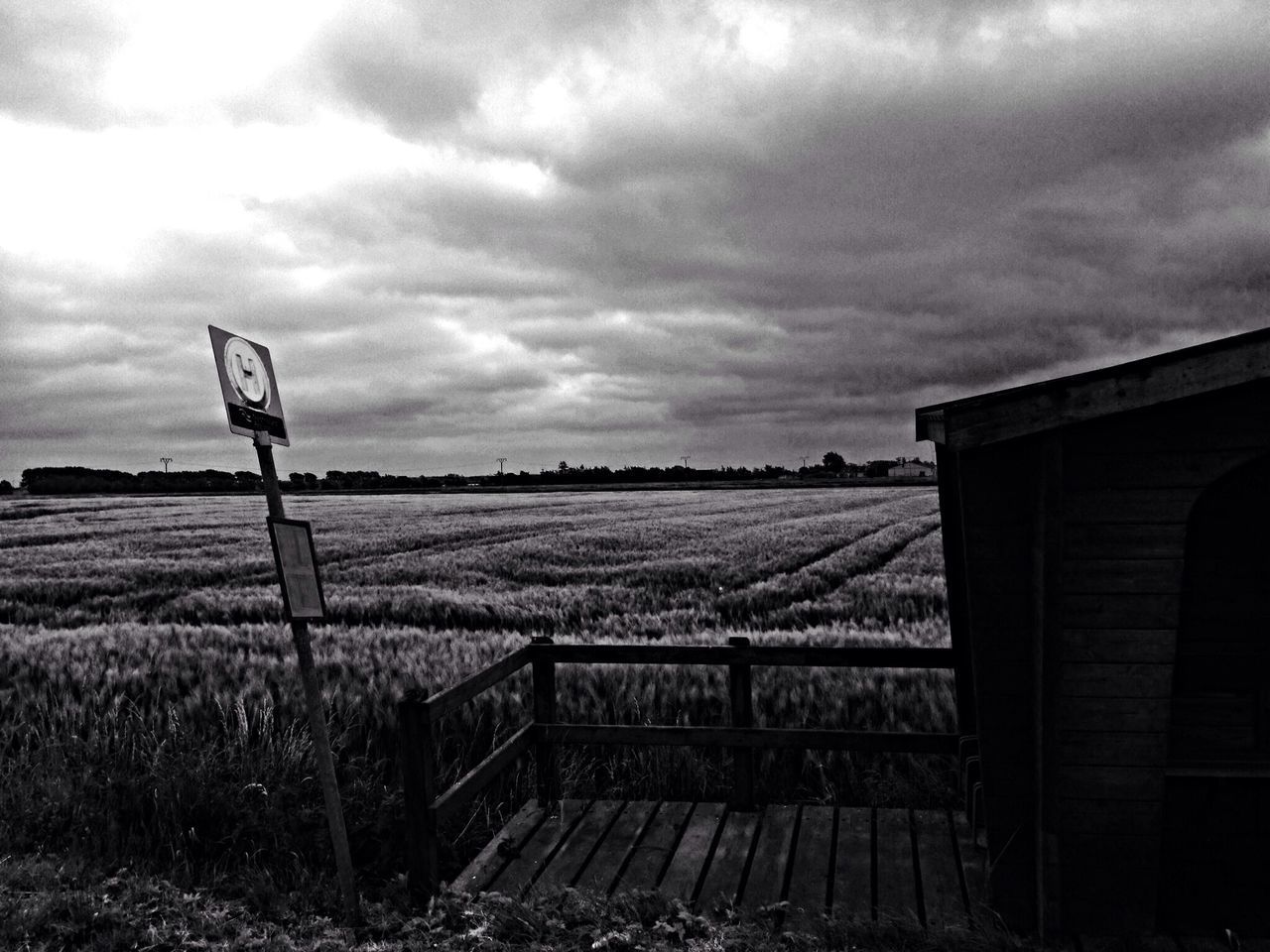 FIELD AGAINST SKY