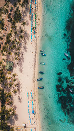 High angle view of plants on beach