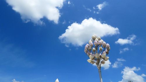 Low angle view of white flowering plants against blue sky