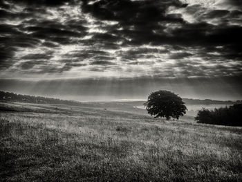 Scenic view of field against cloudy sky