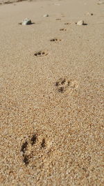 High angle view of footprints on sand at beach