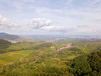 Scenic view of agricultural field against sky