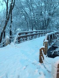 Scenic view of snow covered landscape