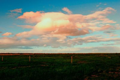 Scenic view of field against sky