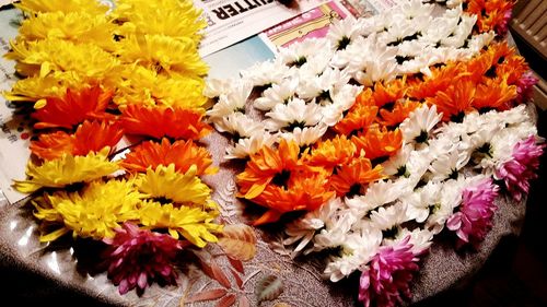 High angle view of flowers