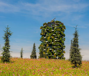 Low angle view of flowering plants on field against sky