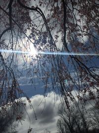 Low angle view of bare tree in lake against sky