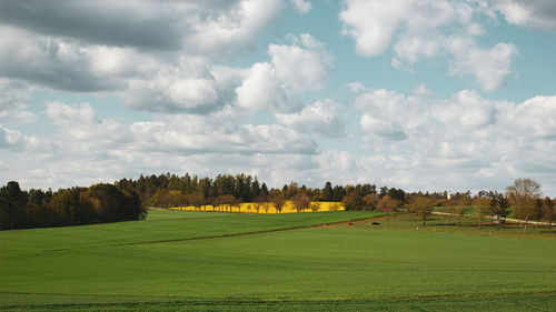 Scenic view of field against sky