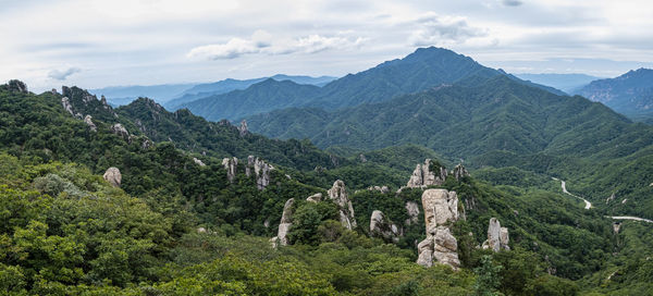 Panoramic view of trees on landscape against cloudy sky