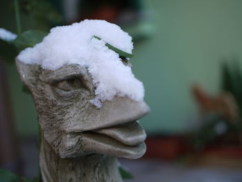 Close-up of snow on statue