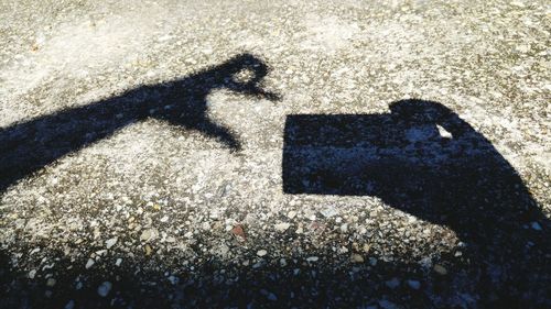 Shadow of people on shadow