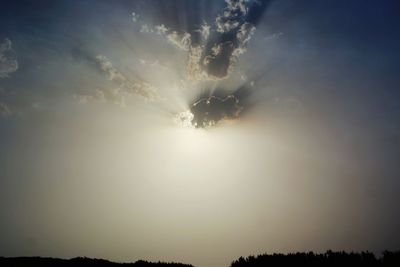 Low angle view of sunlight streaming through silhouette tree against sky