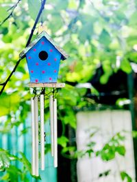 Close-up of toys hanging on tree
