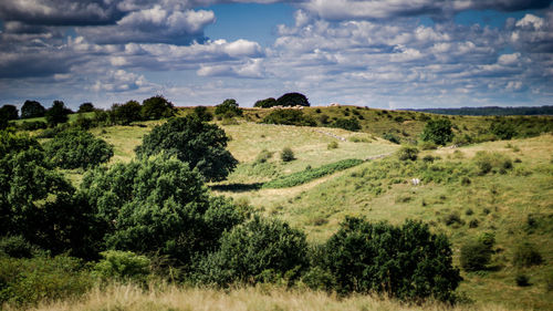 Scenic view of land against sky