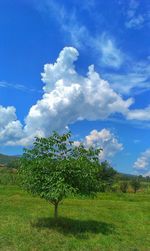 Scenic view of grassy field against cloudy sky