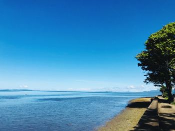 Scenic view of sea against clear blue sky