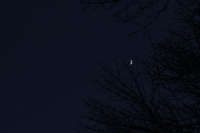 Low angle view of bare trees against sky