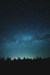 Low angle view of silhouette trees against star field at night