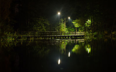 Reflection of illuminated trees in lake at night