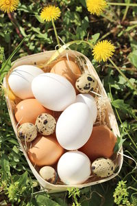 High angle view of easter eggs in basket