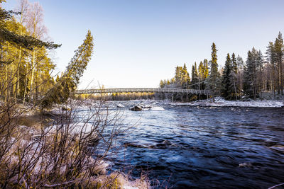 Scenic view of river amidst trees against sky