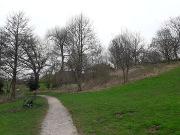 Road amidst trees on field against sky