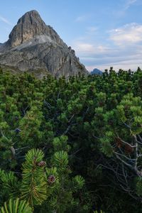 Scenic view of rocky mountains against sky