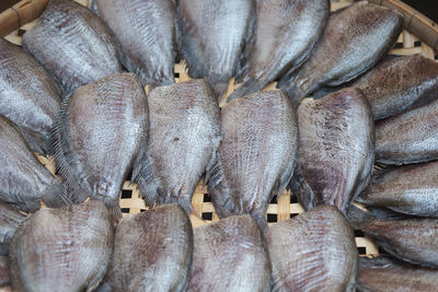 Close-up of fish for sale in market